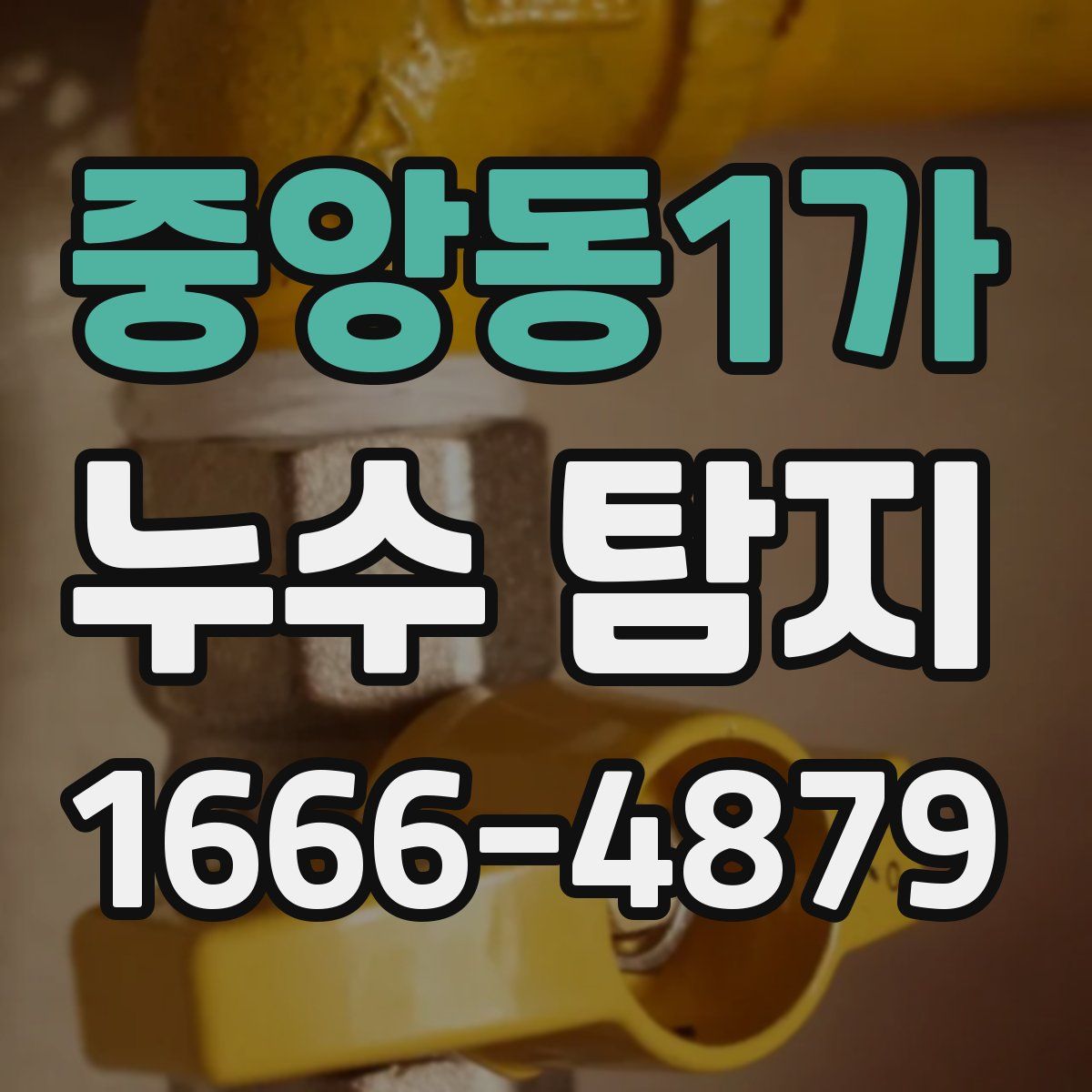 중앙동1가 누수 탐지