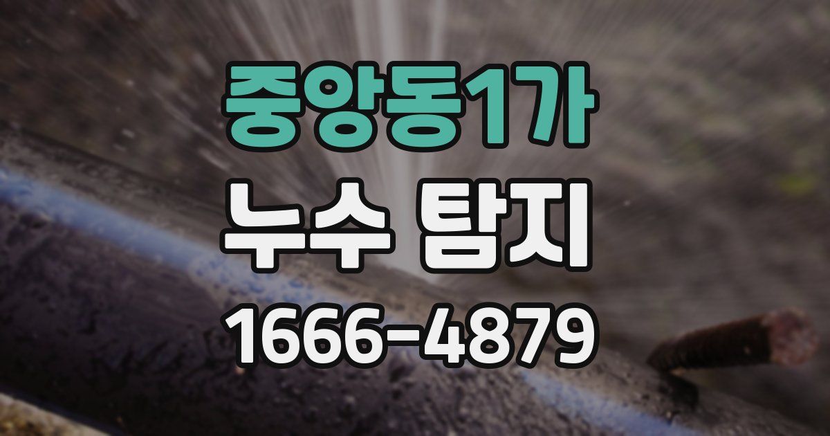 중앙동1가 누수 탐지