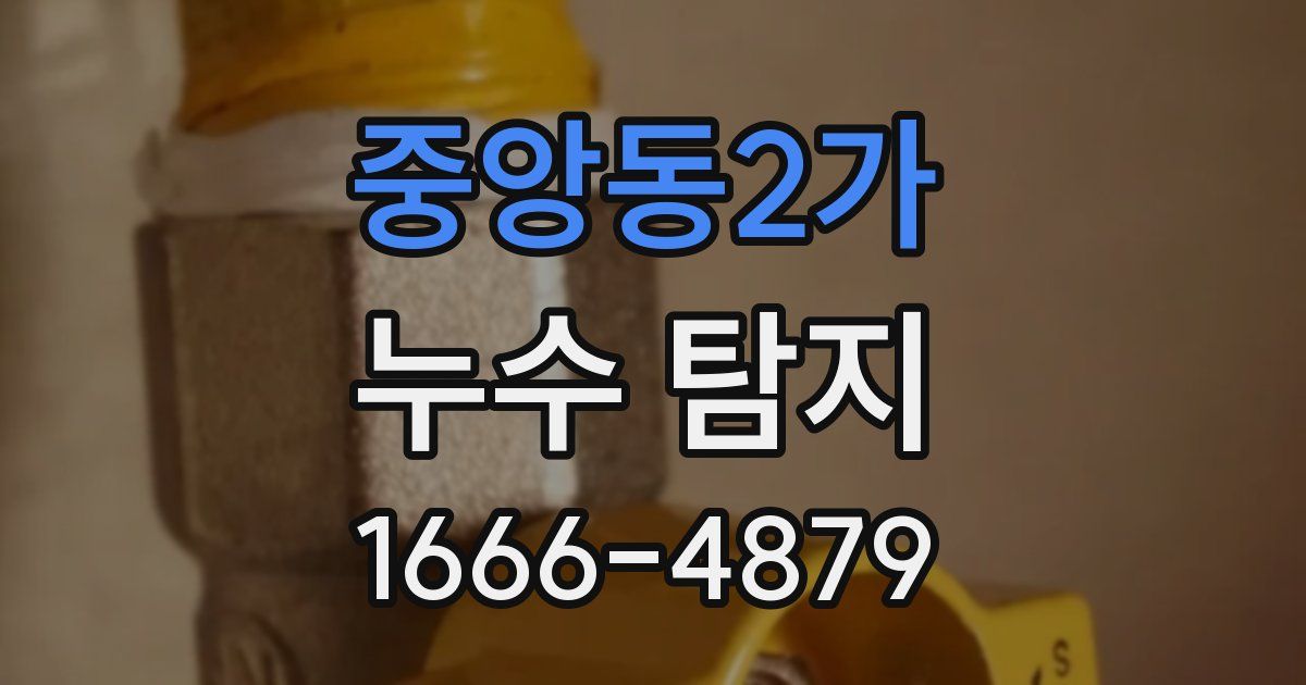 중앙동2가 누수 탐지
