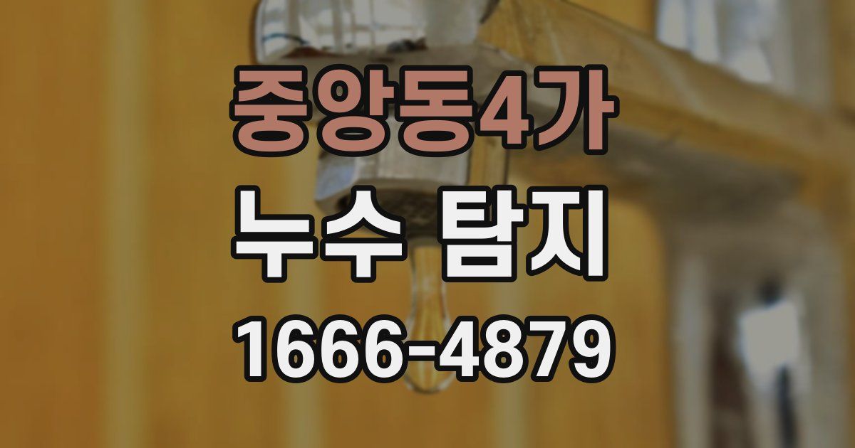 중앙동4가 누수 탐지