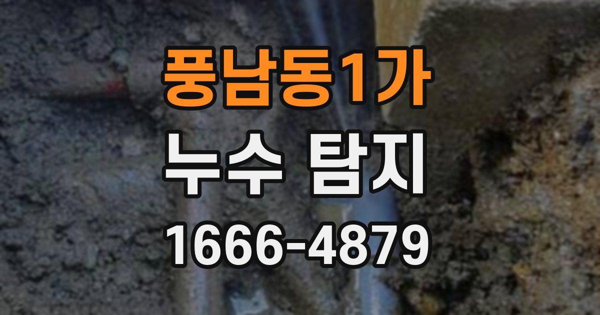 풍남동1가 누수 탐지