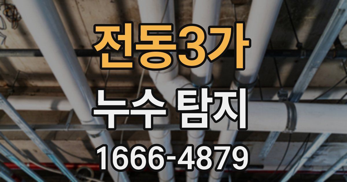 전동3가 누수 탐지