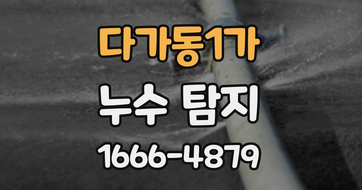 다가동1가 누수 탐지
