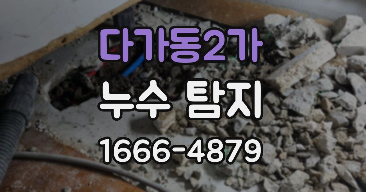 다가동2가 누수 탐지