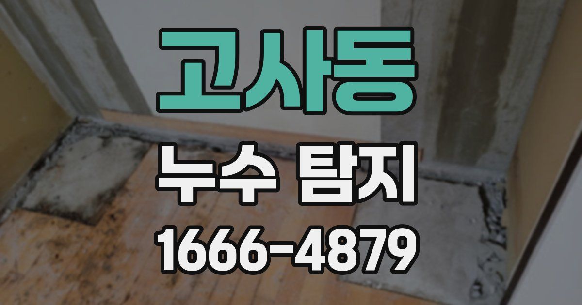 고사동 누수 탐지