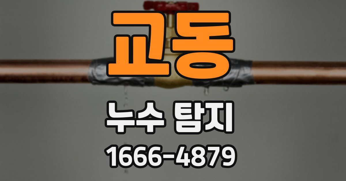 교동 누수 탐지