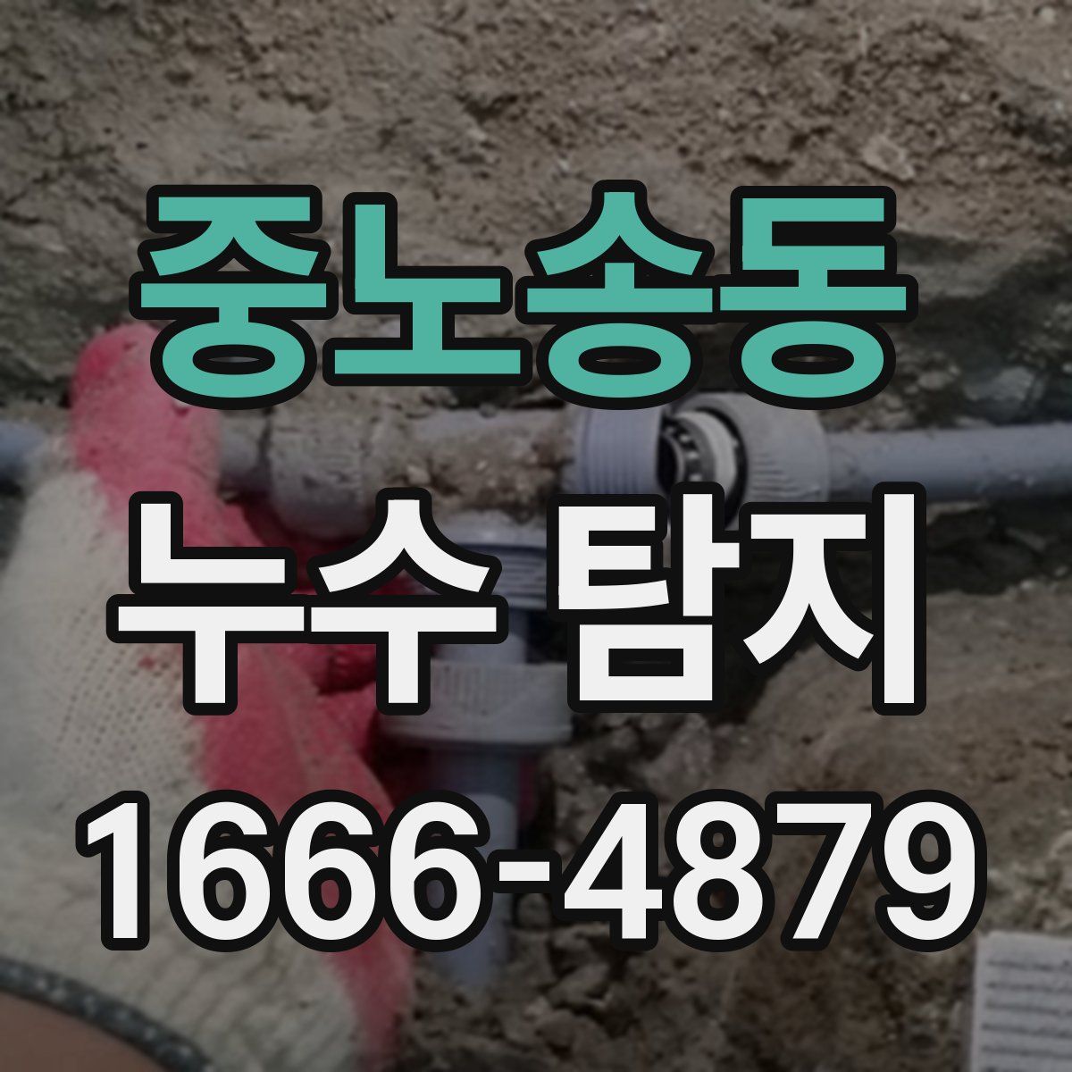 중노송동 누수 탐지