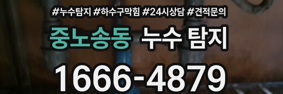 중노송동 누수 탐지