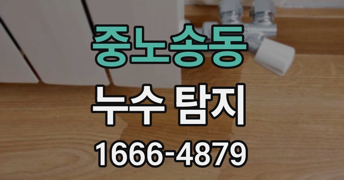 중노송동 누수 탐지