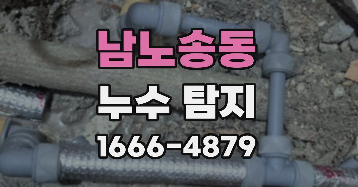 남노송동 누수 탐지