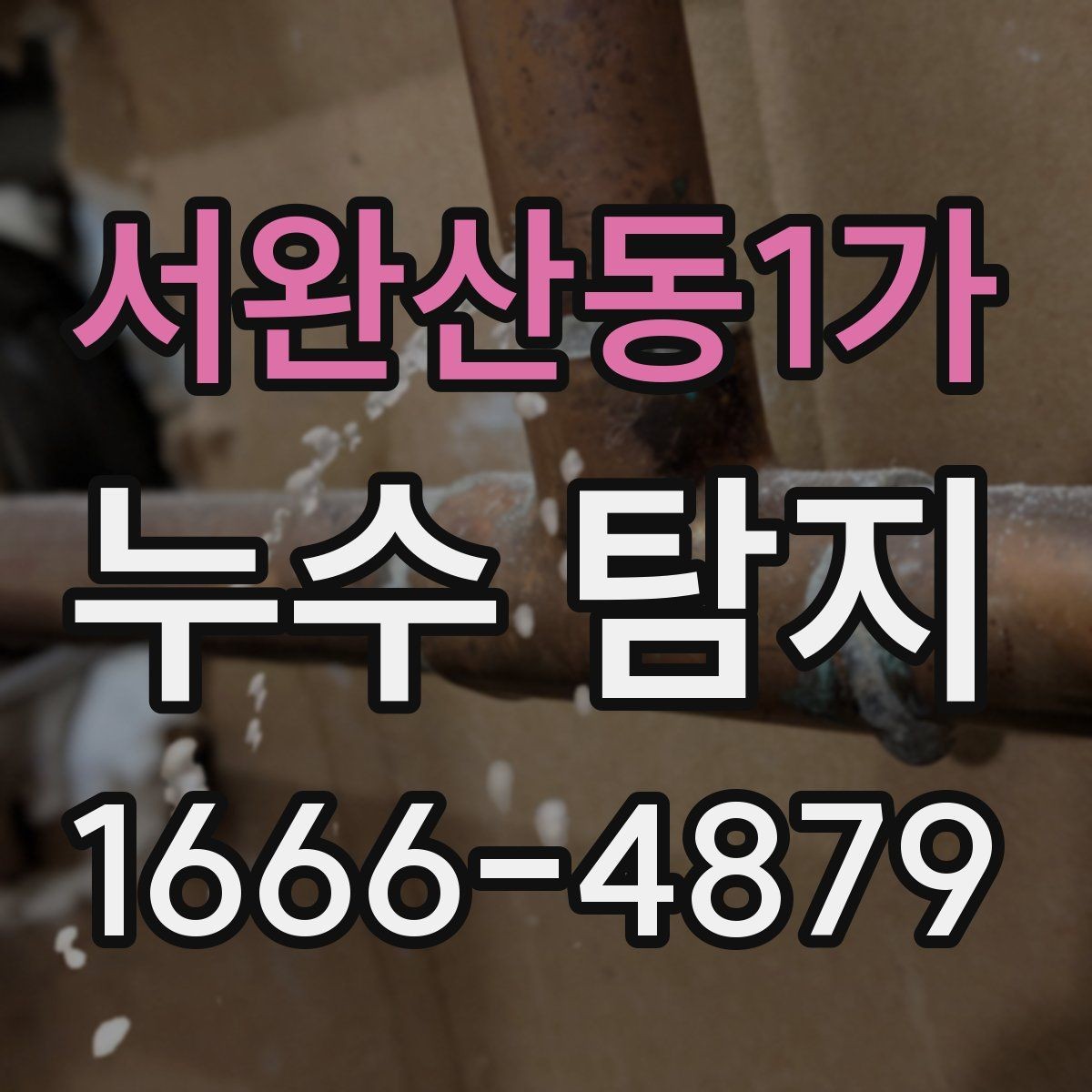 서완산동1가 누수 탐지 의뢰가 필요한 대표적인 상황