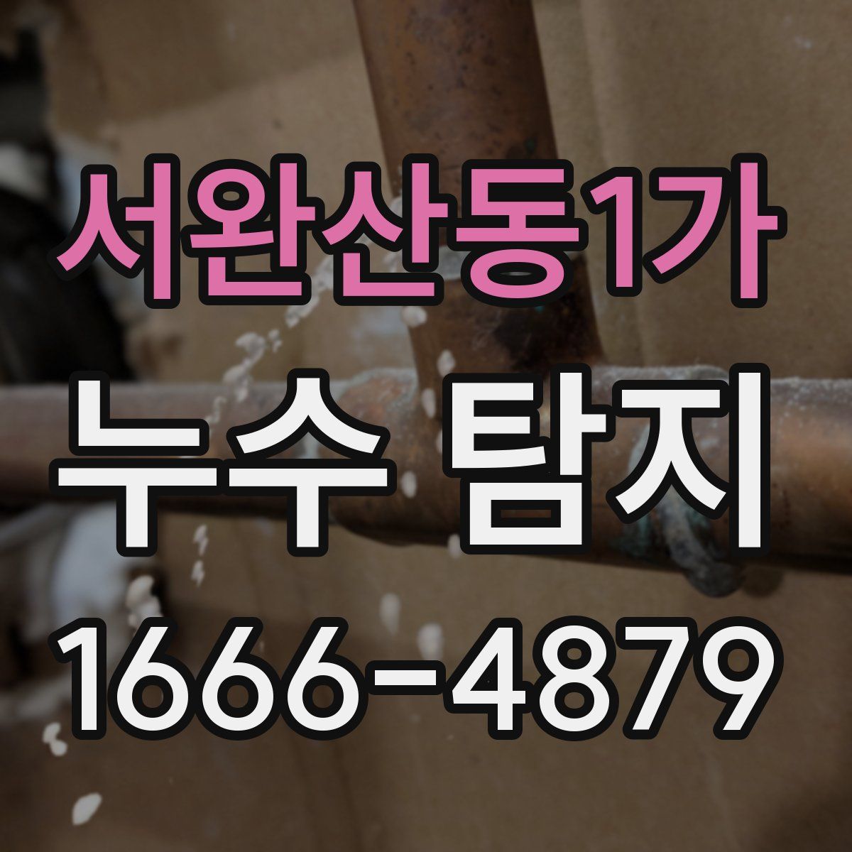 서완산동1가 누수 탐지