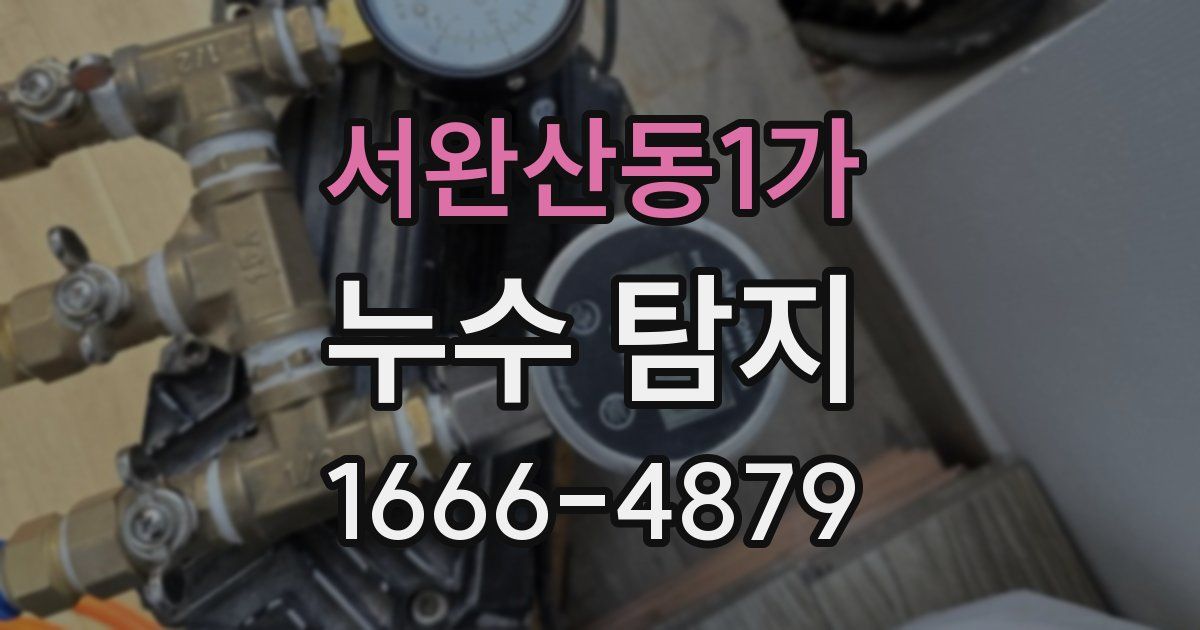 서완산동1가 누수 탐지