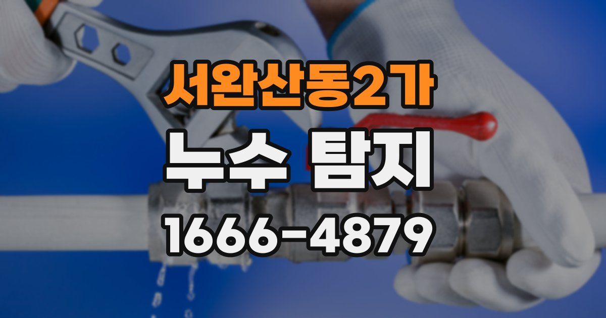 서완산동2가 누수 탐지