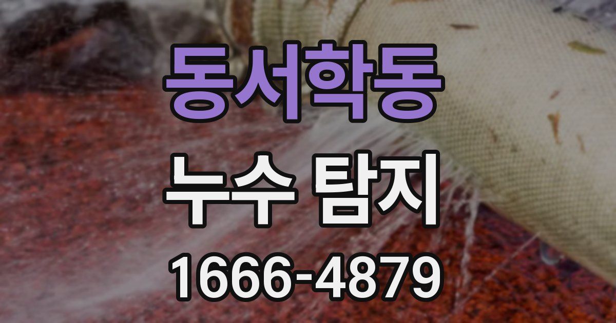 동서학동 누수 탐지