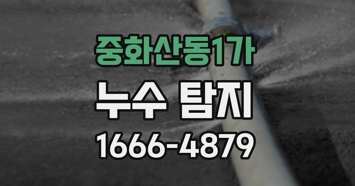 중화산동1가 누수 탐지