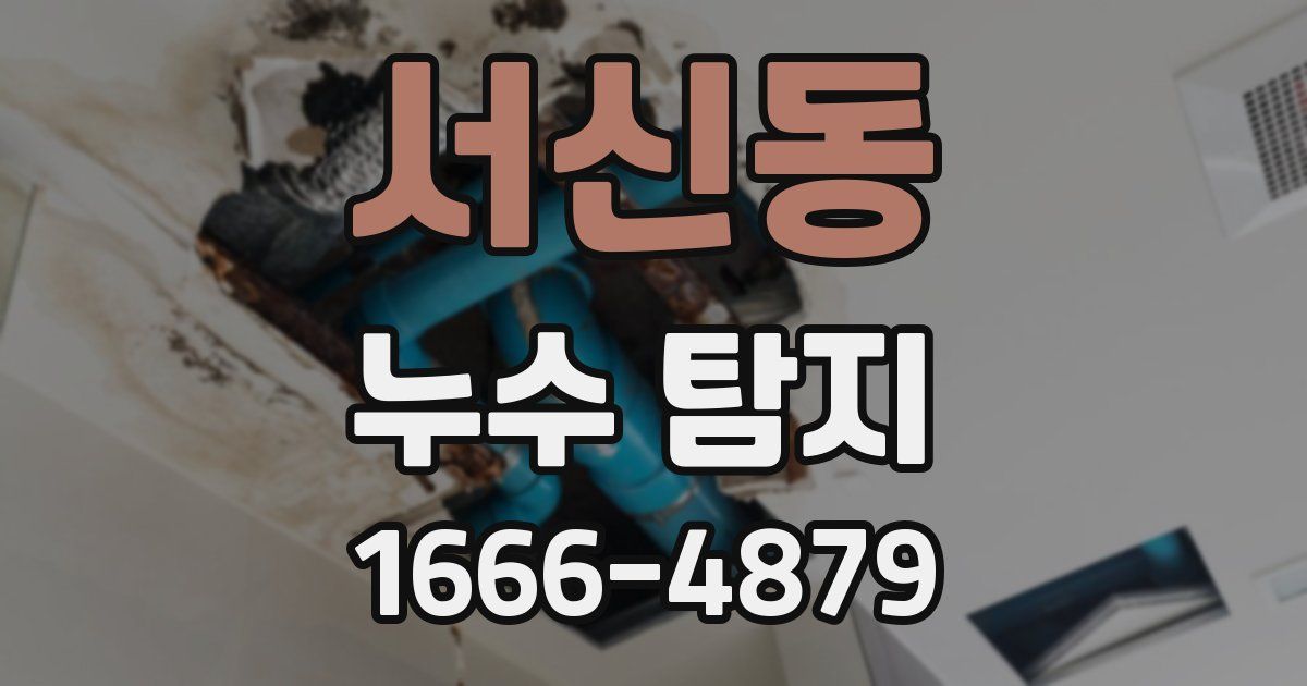 서신동 누수 탐지