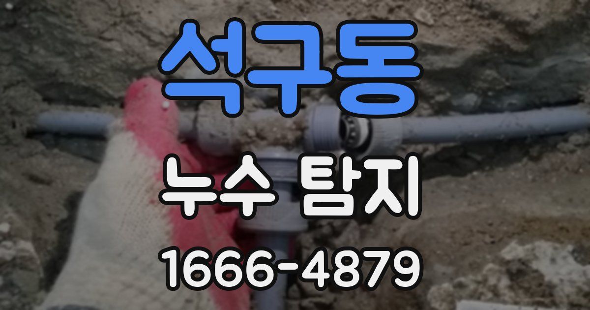 석구동 누수 탐지