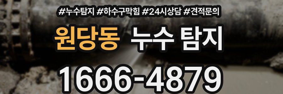원당동 누수 탐지