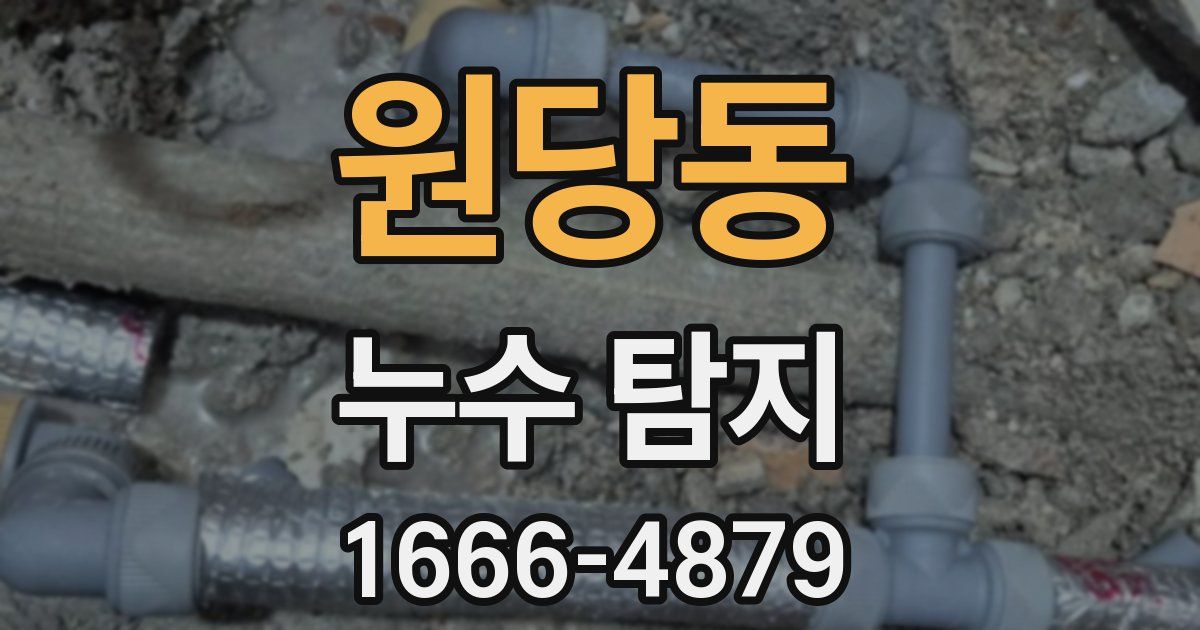 원당동 누수 탐지