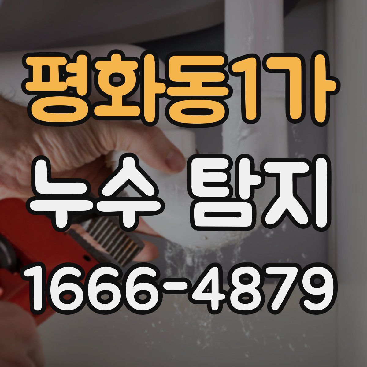 평화동1가 누수 탐지