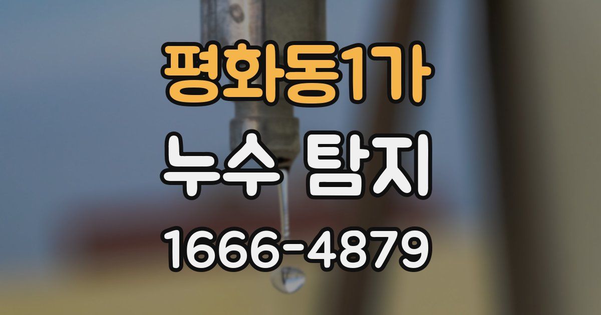 평화동1가 누수 탐지