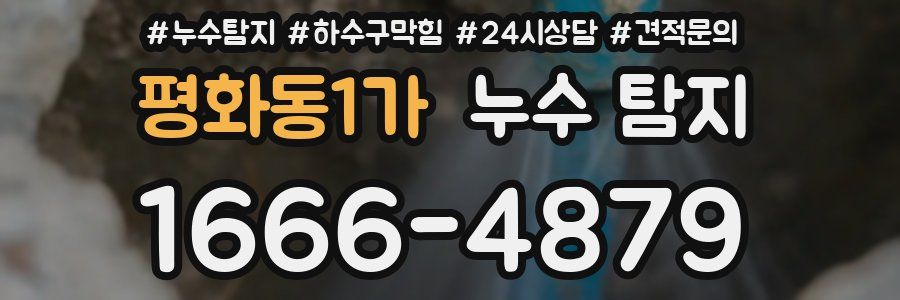 평화동1가 누수 탐지