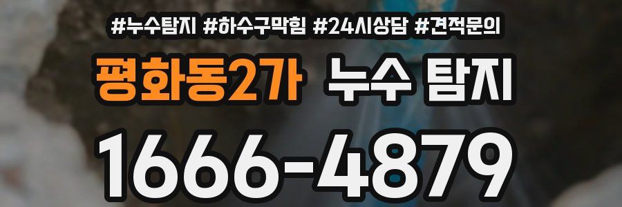 평화동2가 누수 탐지