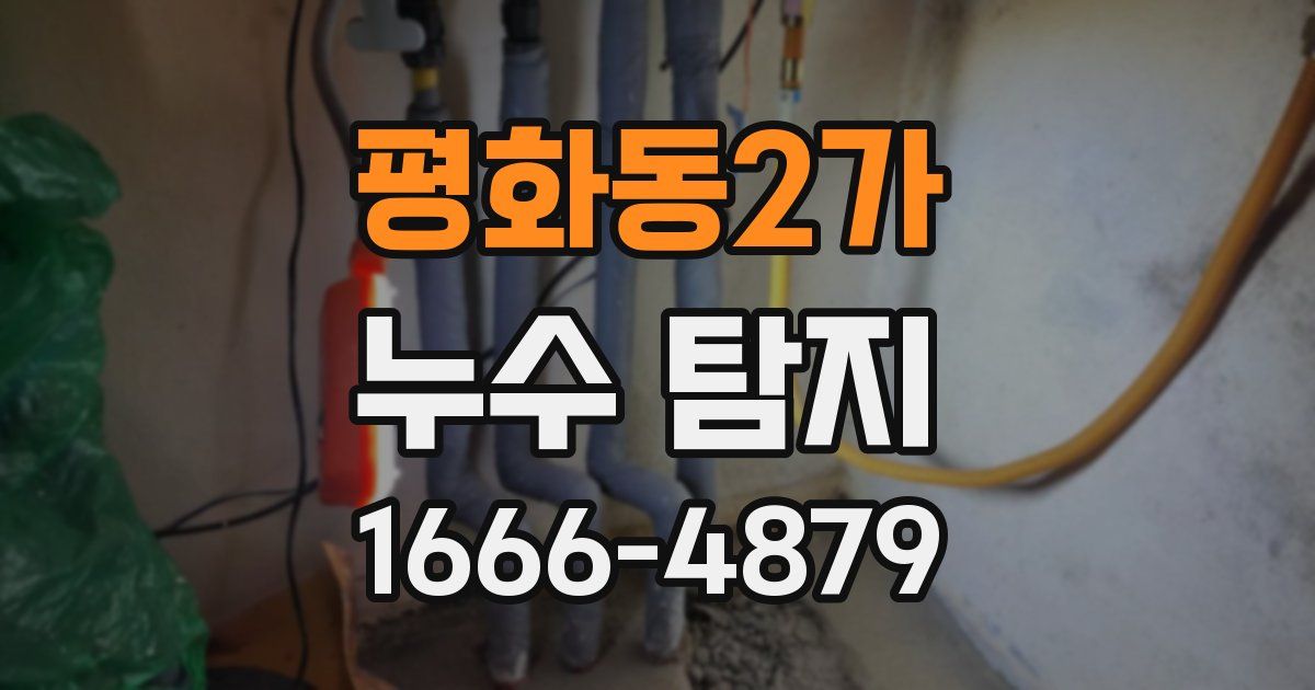 평화동2가 누수 탐지