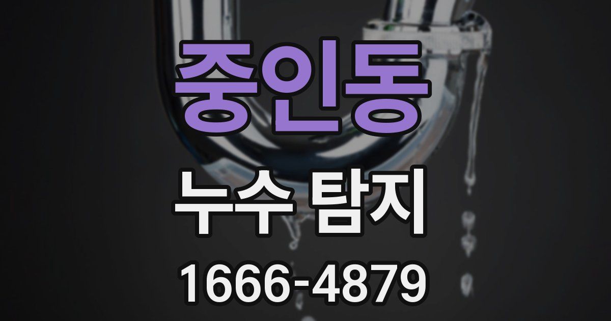 중인동 누수 탐지