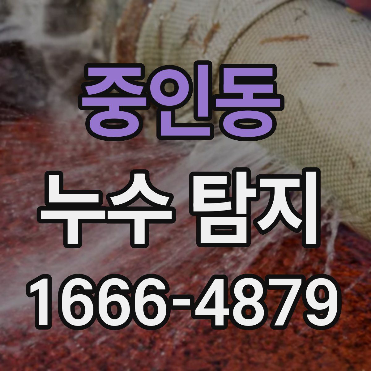 중인동 누수 탐지