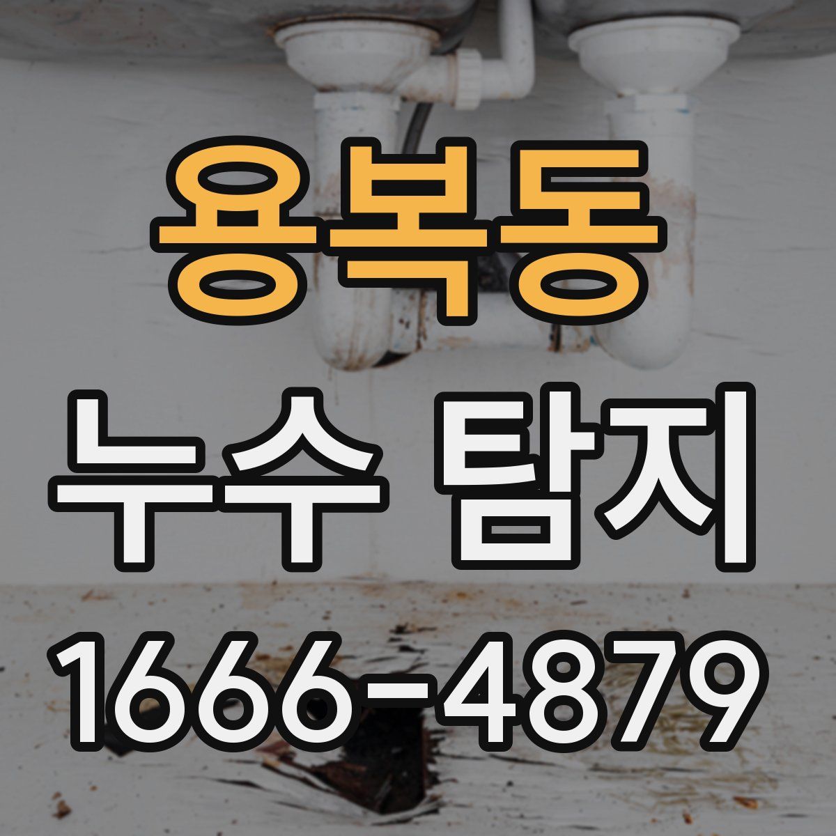 용복동 누수 탐지