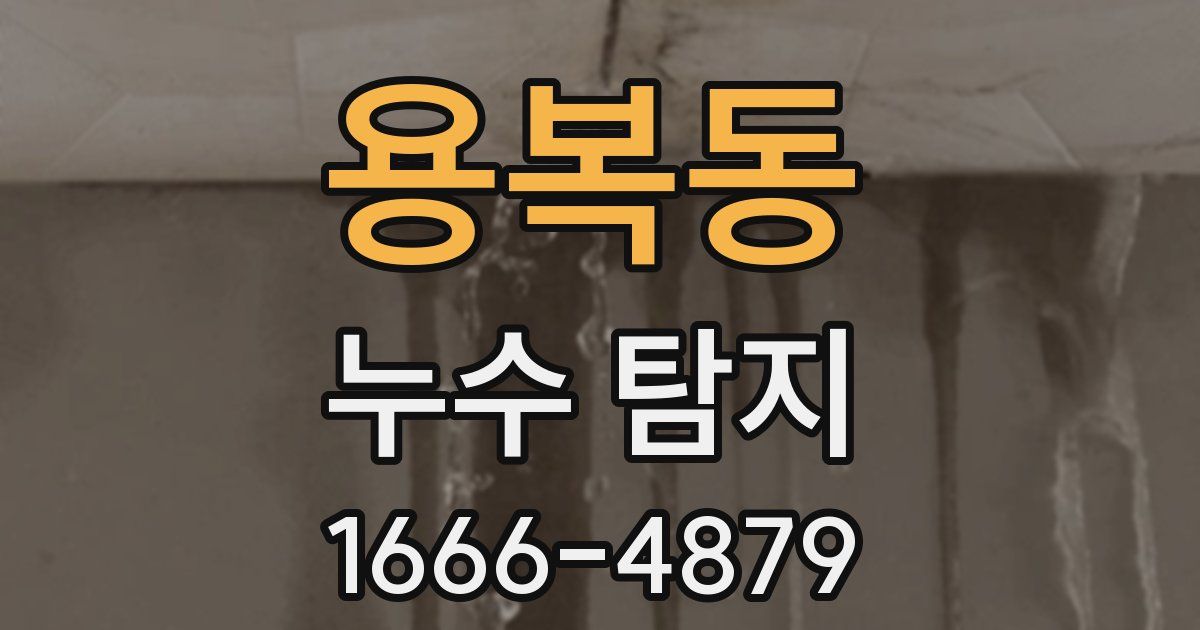 용복동 누수 탐지