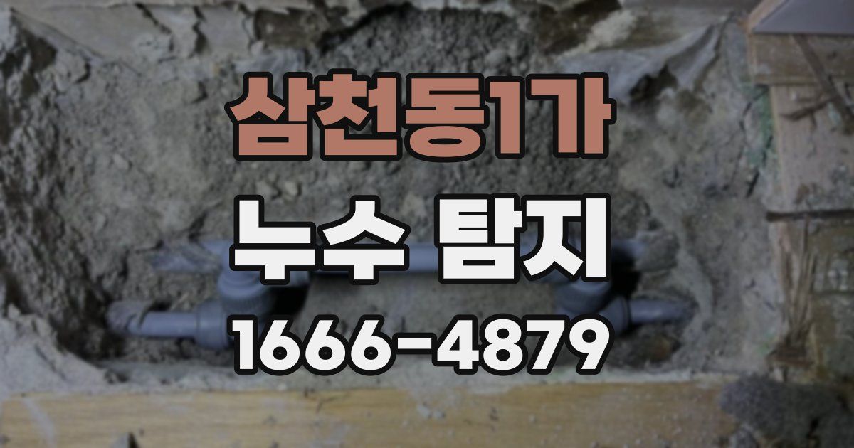 삼천동1가 누수 탐지