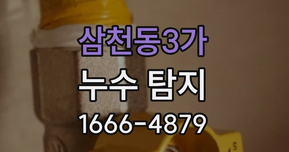 삼천동3가 누수 탐지