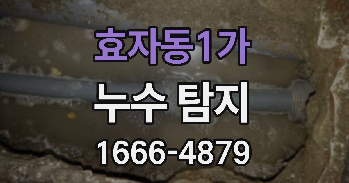 효자동1가 누수 탐지