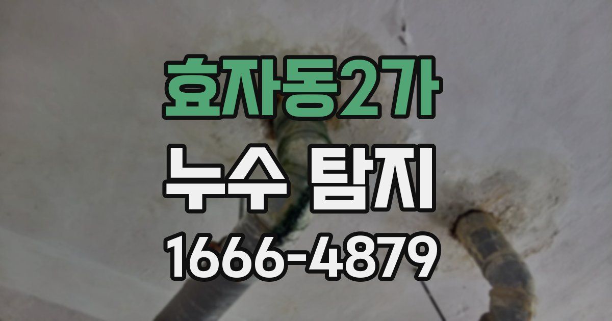 효자동2가 누수 탐지