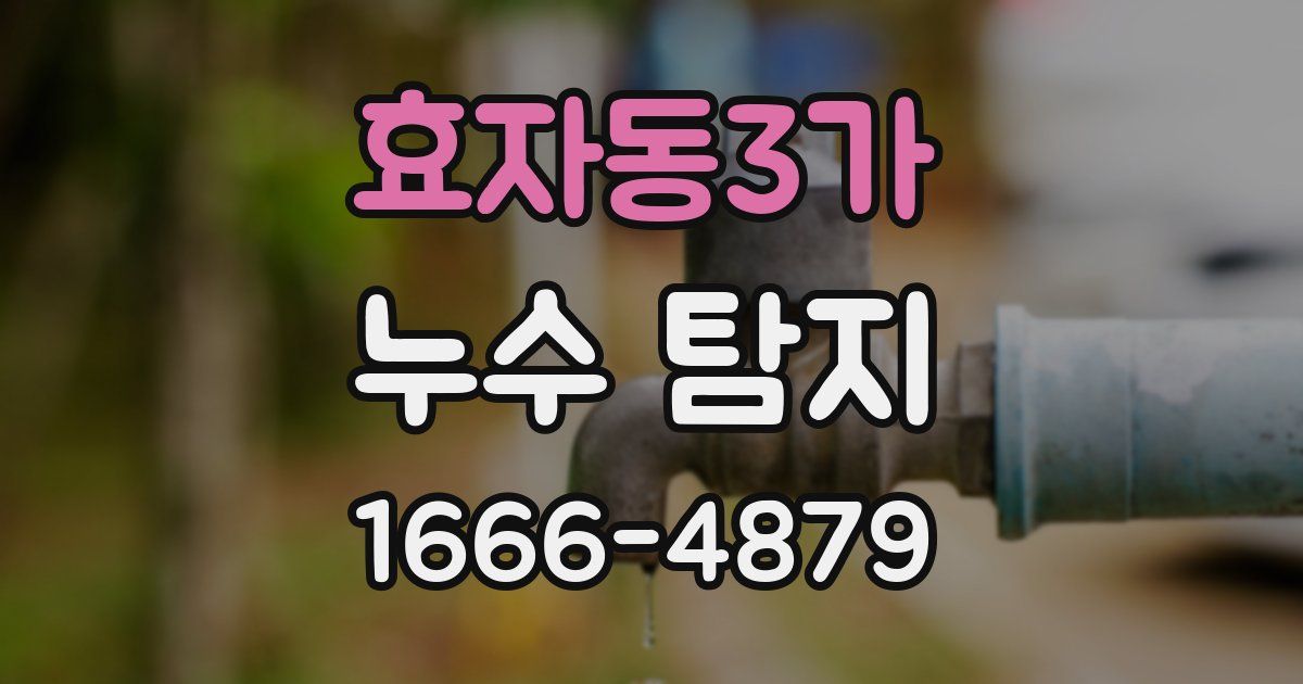 효자동3가 누수 탐지