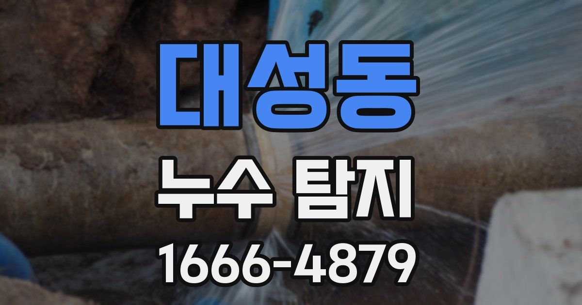 대성동 누수 탐지
