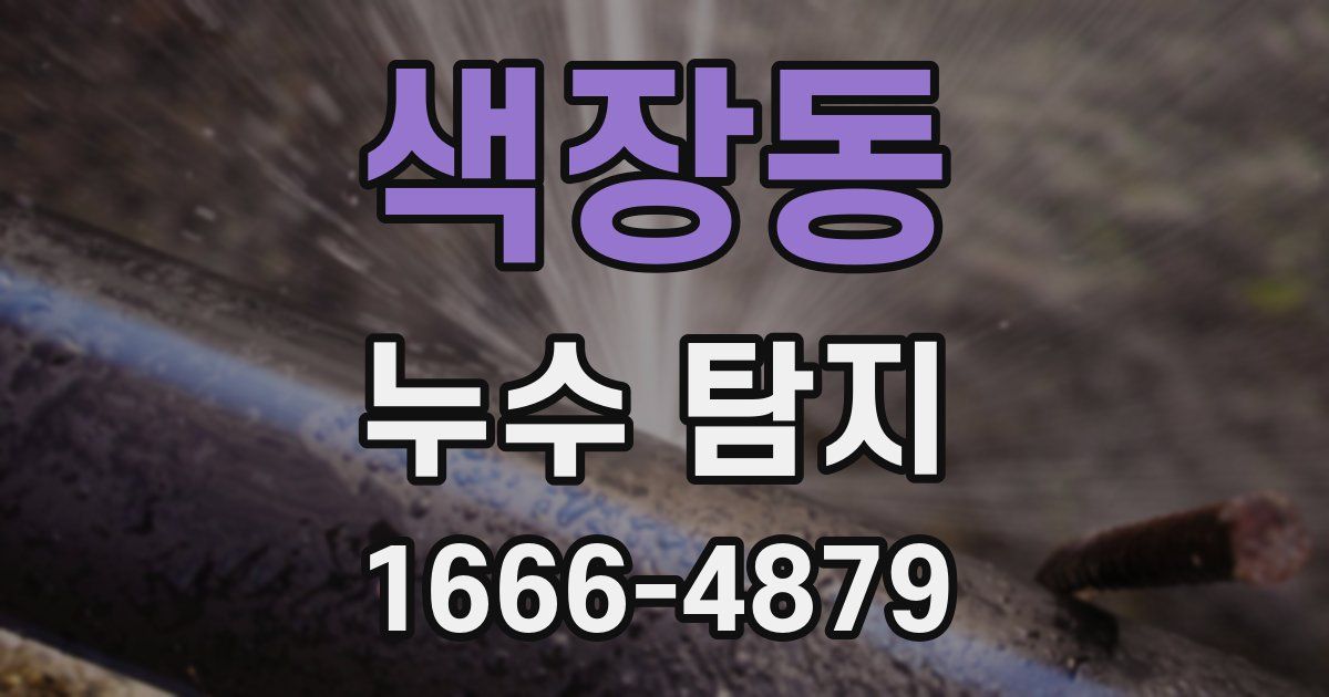 색장동 누수 탐지