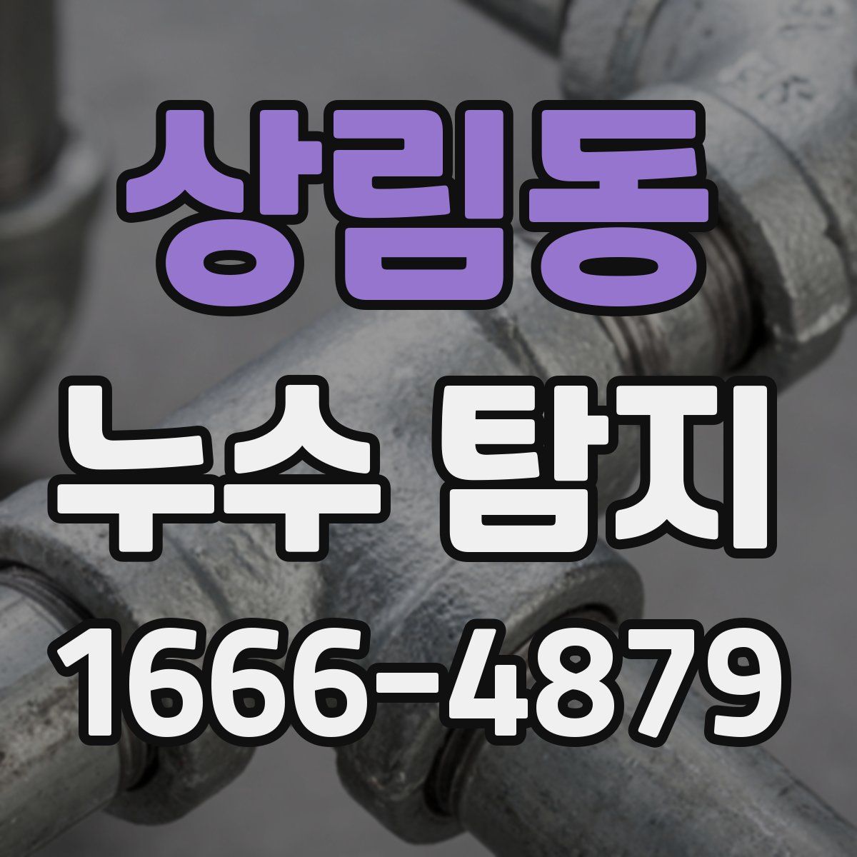 상림동 누수 탐지