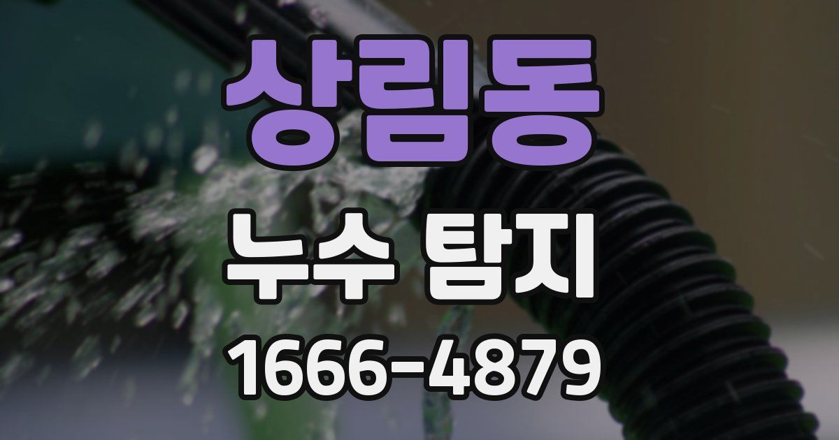 상림동 누수 탐지