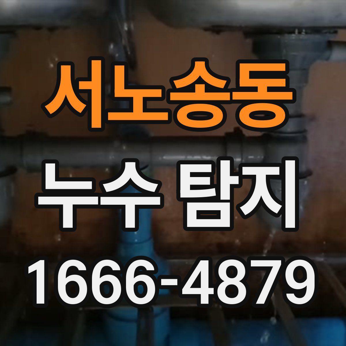 서노송동 누수 탐지