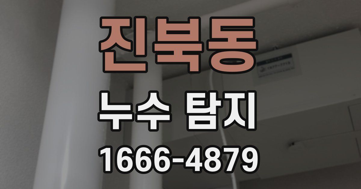 진북동 누수 탐지