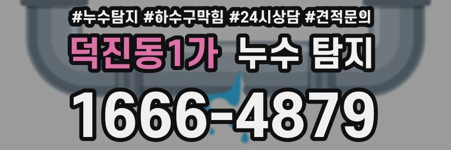 덕진동1가 누수 탐지