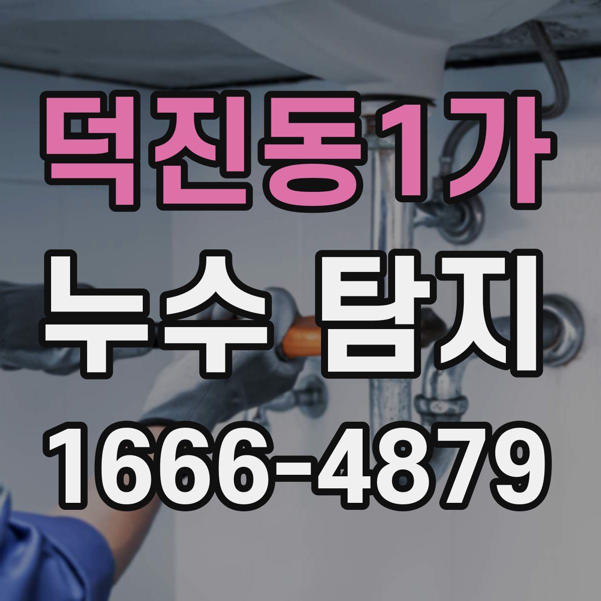 덕진동1가 누수 탐지
