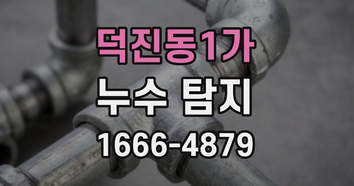 덕진동1가 누수 탐지