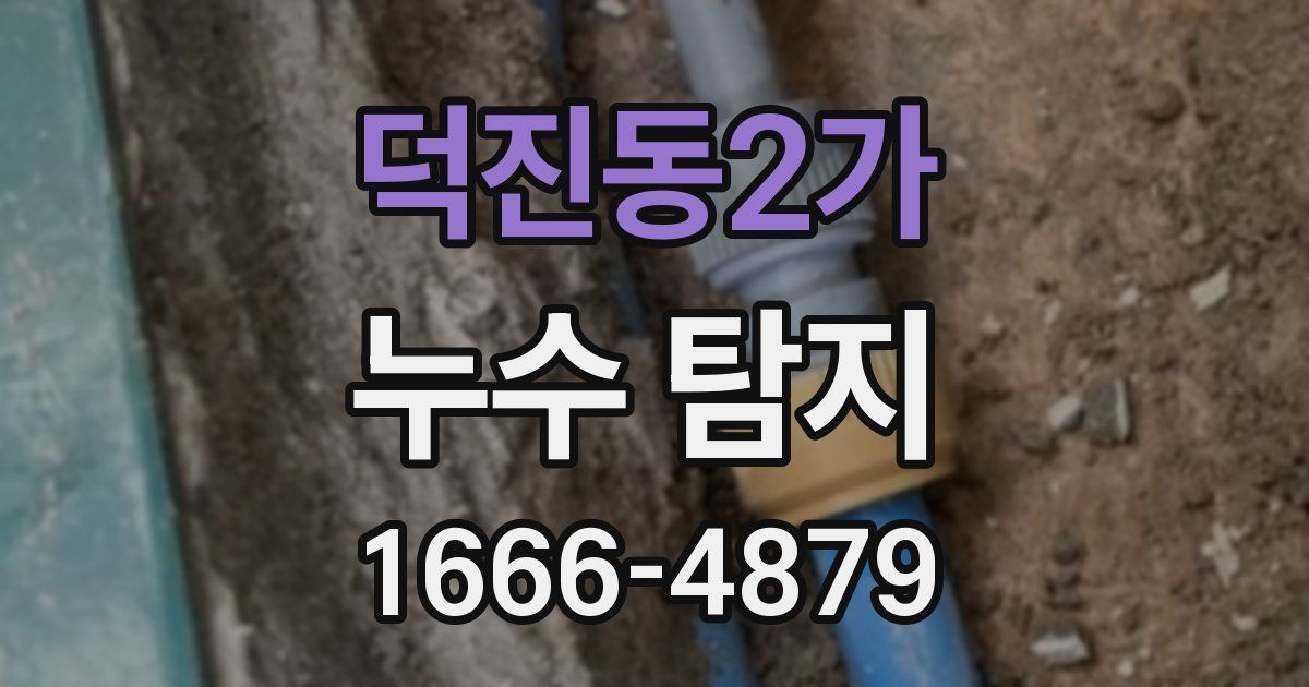 덕진동2가 누수 탐지
