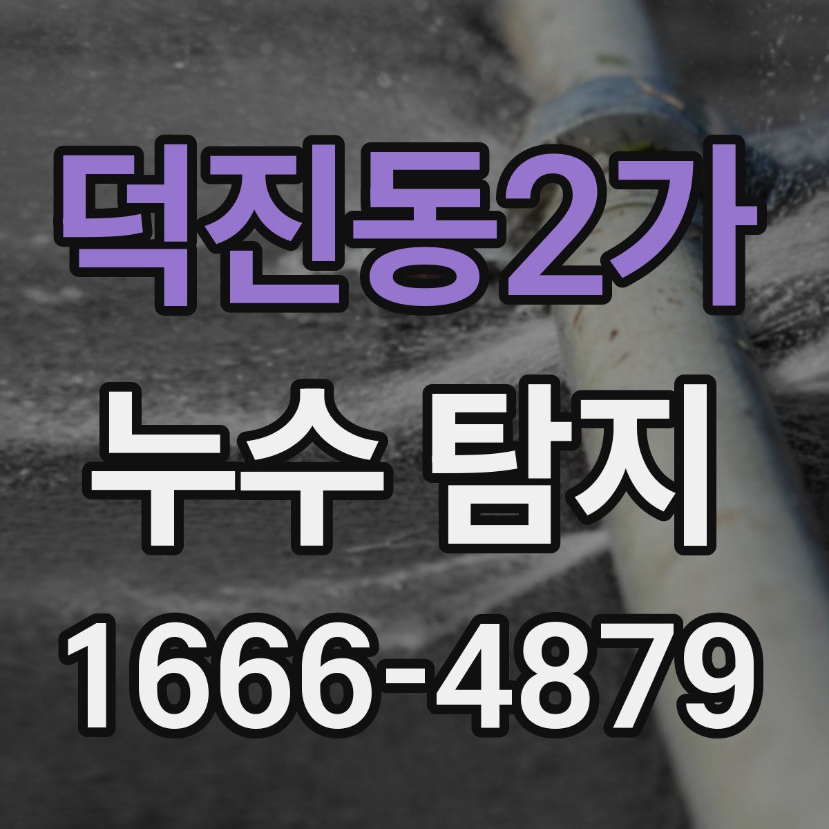 덕진동2가 누수 탐지