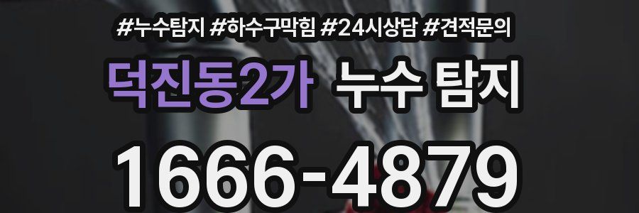 덕진동2가 누수 탐지